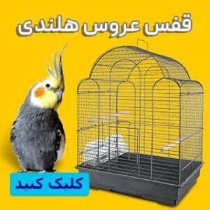 خرید قفس عروس هلندی
