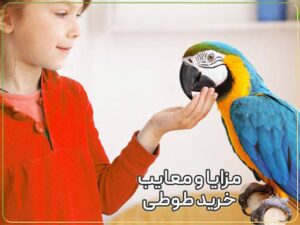 مزایا و معایب خرید طوطی