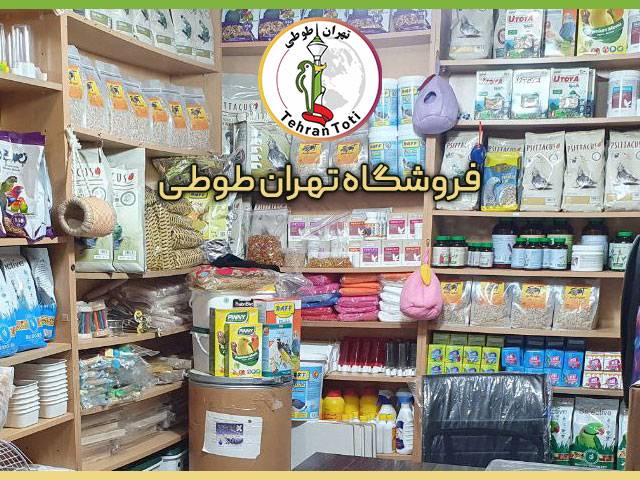 فروشگاه طوطی سانان تهران طوطی معتبرترین مرکز خرید لوازم پرندگان