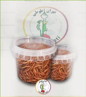 کرم میلورم بسیار مقوی و حاوی انواع پروتئین مناسب تمام طوطی سانان موجود در فروشگاه طوطی سانان تهران طوطی