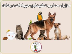 مزایاو معایب نگهداری از حیوانات در خانه از نگاه اسم و شرع