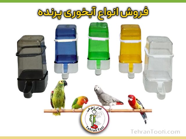 فروش ظرف آبخوری پرنده داخل قفس 