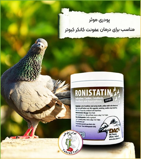 رونیستاتین ، درمان در برابر تریکومونیازیس و عفونت های قارچی. برای کبوترها و پرندگان.