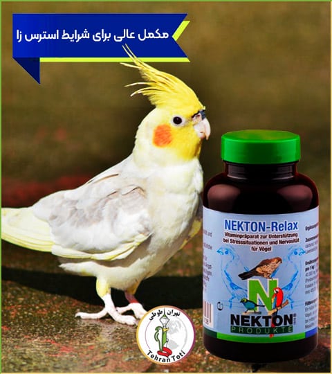 فروش نکتون ریلکس اصلی تولید آلمان برای درمان استرس پرنده موجود در تهران طوطی