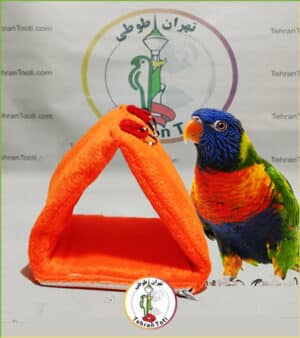 مخفیگاه مثلثی پارچه‌ای پرندگان با کیفیت عالی در تهران طوطی