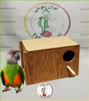 خرید آسان انواع لانه چوبی مخصوص پرندگان متوسط جثه با کیفیتی عالی و بهداشتی موجود در فروشگاه طوطی سانان تهران طوطی