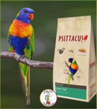 قیمت پلت لوری سیتاکوس در تهران طوطی. دارای انواع میوه‌ها و پروتئین‌‌ها