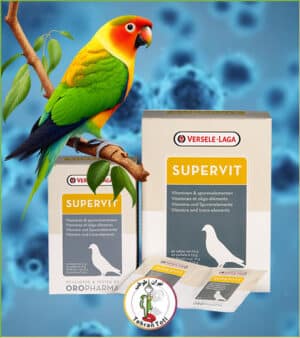 سوپر ویت ورسلاگا ترکیبی از ویتامین ها و عناصر کمیاب به صورت پودر که باعث رشد بهتر پرنده می‌شود. موجود در تهران طوطی