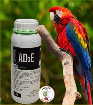 خرید ویتامین AD3E پروویتیم لهستان از تهران طوطی که باعث رشد بافت اسکلتی بدن و حفظ استحکام استخوان ها و کیفیت پوسته تخم مرغ