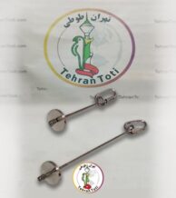 فروش سیخ میوه طوطی در تهران طوطی