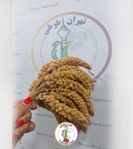 خرید ارزن خوشه ای مناسب برای پرندگان زینتی با بهترین قیمت