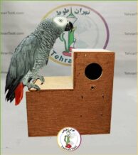 خرید لانه چوبی برای پرندگان بزرگ جثه