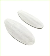 کف دریا پرندگان زینتی مناسب برای همه طوطی سانان و عروس هلندی.