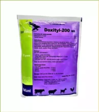 آنتی‌بیوتیک داکسین هلندی ۱۰۰ گرمی