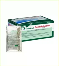 فروش با بهترین قیمت آنتی بیوتیک گامبوکوکزید