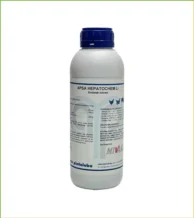 فروش مولتی ویتامین عسلی اپسا اصل در فروشگاه طوطی سانان تهران طوطی