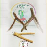 نشیمنگاه درختی پرنده
