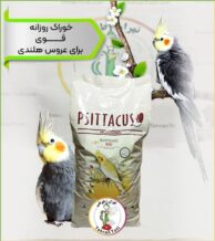 قیمت پلت عروس هلندی