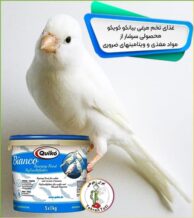 غذای تخم مرغی بیانکو کویکو