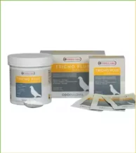 قیمت خرید تریکو پلاس ورسلاگا