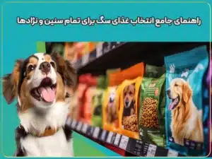 راهنمای جامع انتخاب غذای سگ برای تمام سنین و نژادها