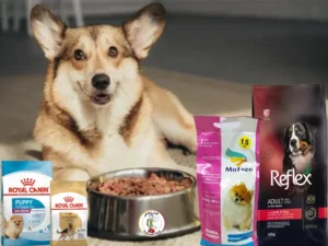 بهترین برند های غذای سگ در ایران