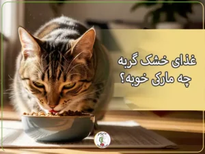 غذای خشک گربه چه مارکی خوبه؟