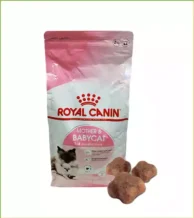 قیمت غذای خشک گربه مادر و بیبی کت رویال کنین