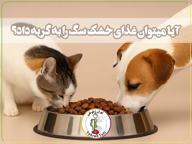 تفاوت غذای سگ و گربه