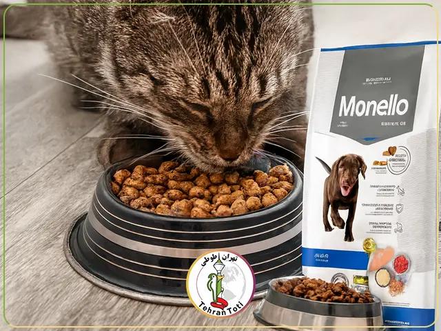 ایا غذای خشک گربه برای سگ ضرر دارد؟