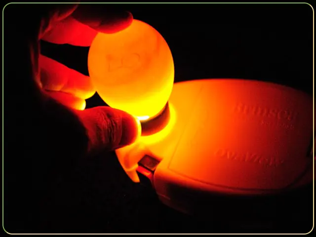 مشاهده رگه های تخم عروس هلندی در فرآیند جوجه کشی