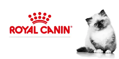 محصولات رویال کنین