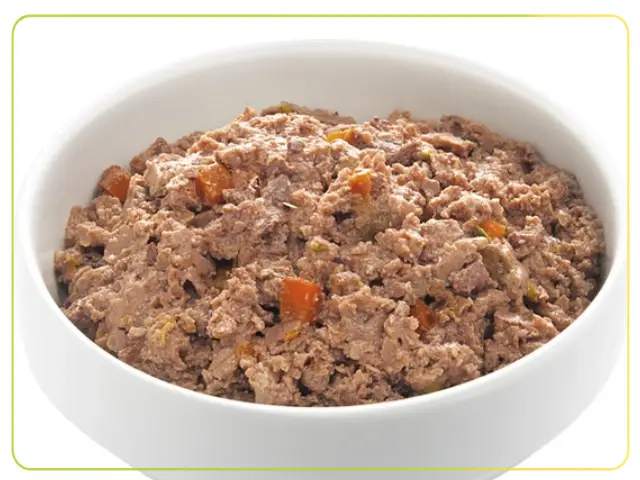 جوشاندن کنسرو سگ