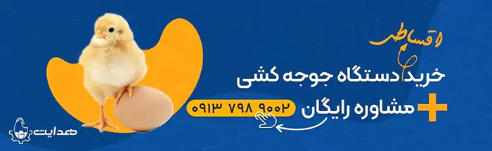 خرید دستگاه جوجه کشی عروس هلندی و طوطی