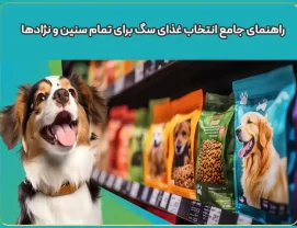 راهنمای جامع انتخاب غذای سگ برای تمام سنین و نژادها