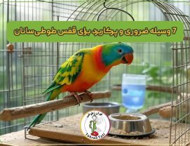 Essential-items-for-a-parrot-cage 7 وسیله ضروری و پرکاربرد برای قفس طوطیسانان