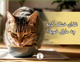 غذای خشک گربه چه مارکی خوبه؟