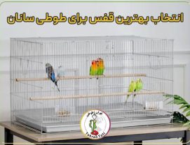 buying-guide-parrot-cage انتخاب بهترین قفس برای عروس هلندی و طوطیسانان