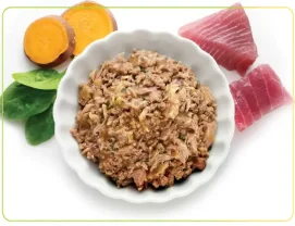 feeding-canned-cat-food