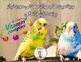 what-vitamins-are-good-for-pet-birds راهنمای خرید مهمترین مکمل ها و مولتی ویتامین ها و مواد معدنی ضروری برای پرندگان خانگی