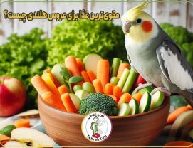 مقوی‌ترین غذا برای عروس هلندی چیست؟